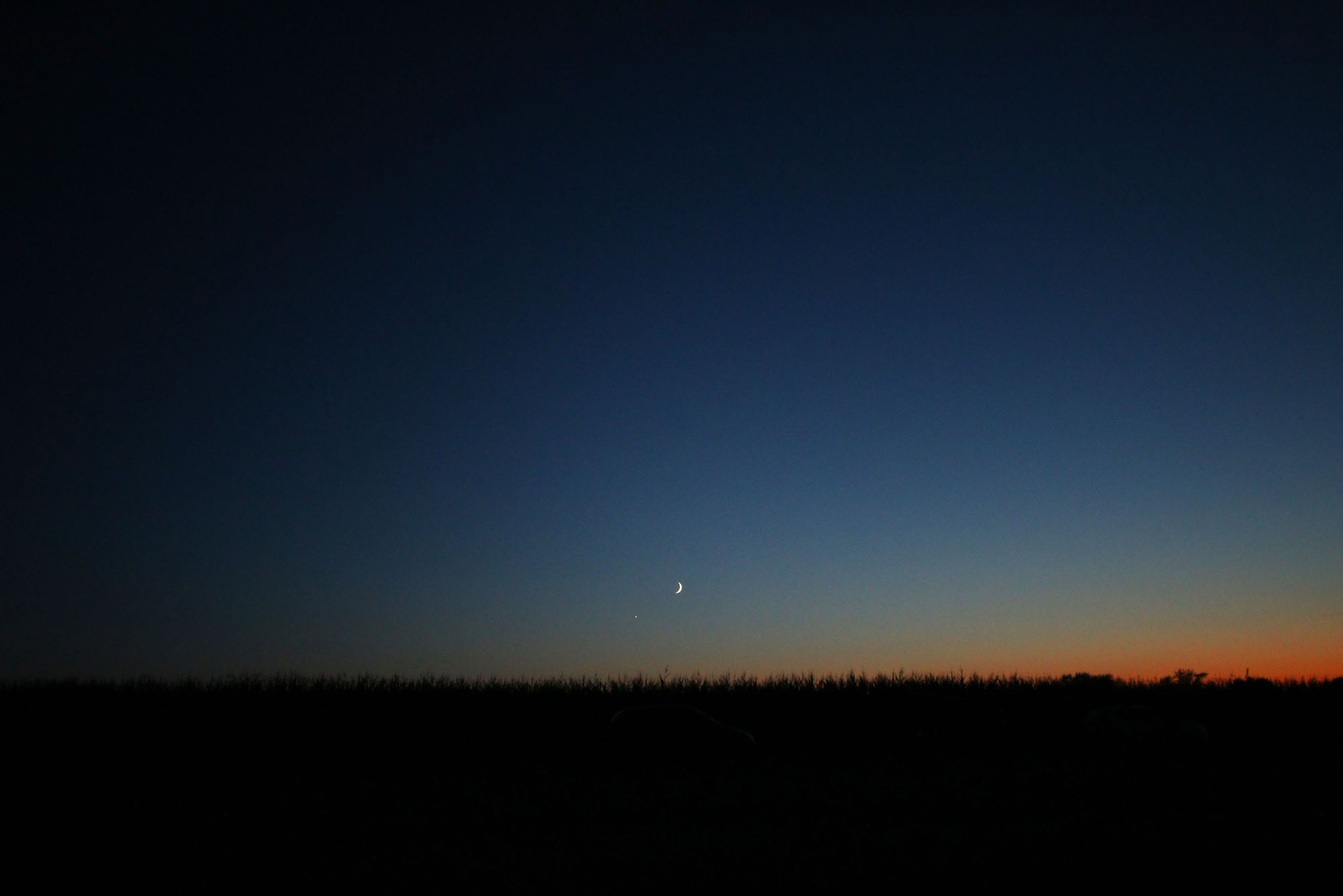 L’attribut alt de cette image est vide, son nom de fichier est Lune-Venus-0410nB1-s.jpg.